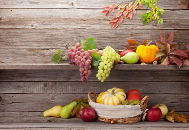 Kabak, elma, üzüm, armut ve ahşap duvar renkli yaprakları ile sonbahar natürmort