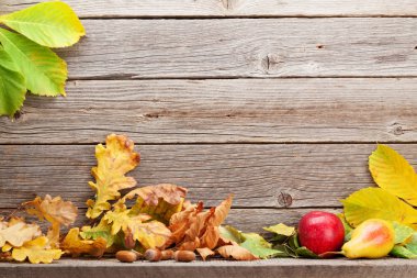 Elma, armut ve renkli yaprakları ile sonbahar natürmort