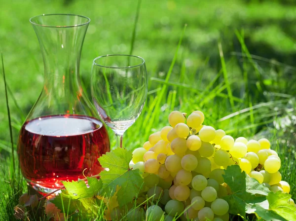 ローズは デカンターとブドウのワイン ブドウ園で屋外 テキストのスペース ブドウの選択と集中 — ストック写真