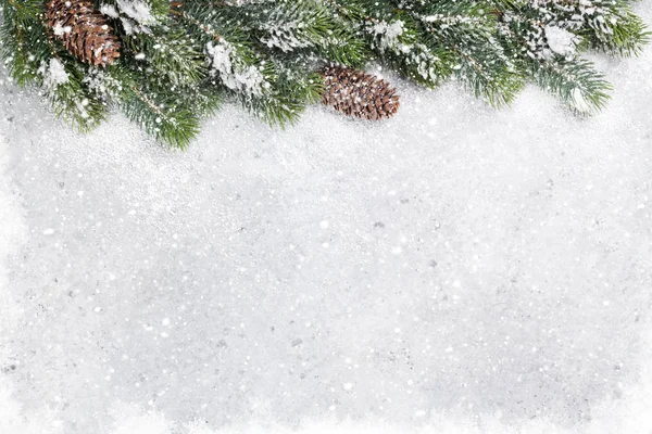 Kerst Fir Tree Branch Vallende Sneeuw Stenen Achtergrond Bovenaanzicht Xmas — Stockfoto