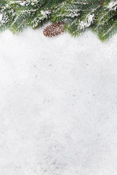 Ramo Abeto Natal Coberto Neve Fundo Pedra Cenário Natal Para — Fotografia de Stock