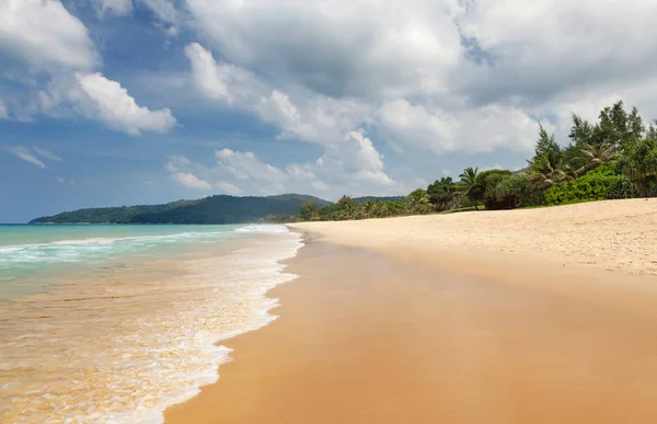 Τροπική Παραλία Φοίνικες Και Φωτεινή Άμμο Καλοκαιρινές Θαλάσσιες Διακοπές Και — Φωτογραφία Αρχείου