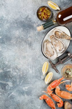 Taze istiridye ve taş masada beyaz şarap. Metin alanı olan Üstten Görünüm