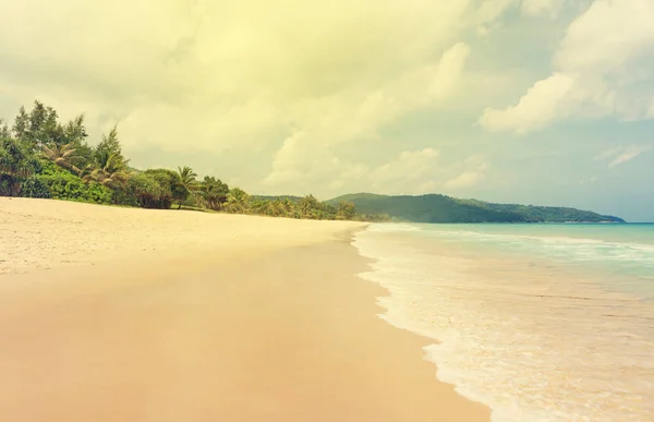 Tropisch Strand Met Palmbomen Helder Zand Zomervakantie Van Zee Reizen — Stockfoto