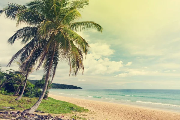 Tropical Beach Palms Bright Sand Summer Sea Vacation Travel Concept — Stock Photo, Image