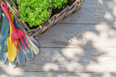 Bahçecilik aletleri ve fidan güneşli Bahçe masada. Kopya alanı ile Üstten Görünüm