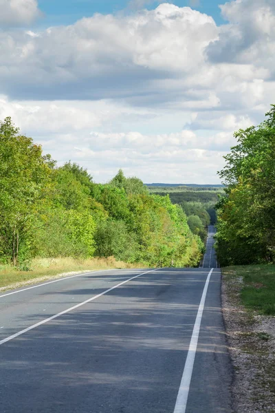 Strada attraverso la foresta — Foto Stock