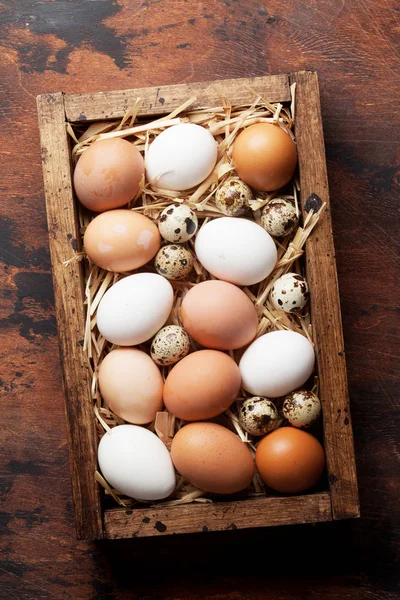 Tavuk ve bıldırcın yumurtası — Stok fotoğraf