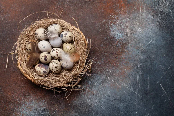 Kwartels Eieren Nest Rustieke Stenen Achtergrond — Stockfoto