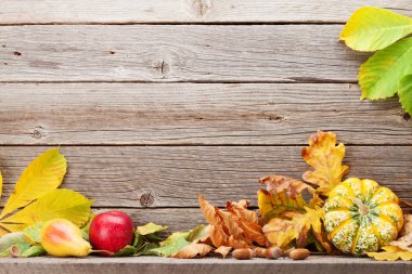 Sonbahar, bal kabakları ve meyvelerle dolu bir hayat.