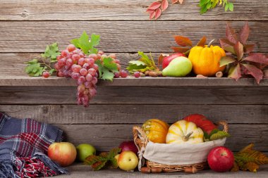 Sonbahar, bal kabakları ve meyvelerle dolu bir hayat.