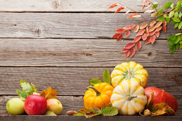 Bodegón de otoño con calabazas y frutas —  Fotos de Stock