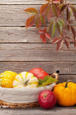 Sonbahar, bal kabakları ve meyvelerle dolu bir hayat.