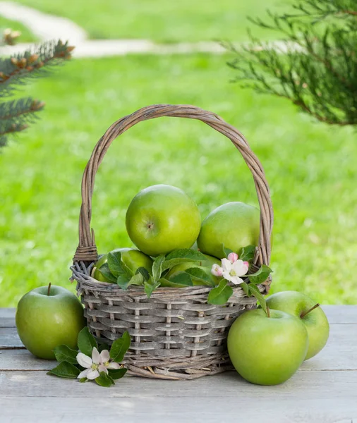 Fresh garden apples in basket — Stock Photo, Image