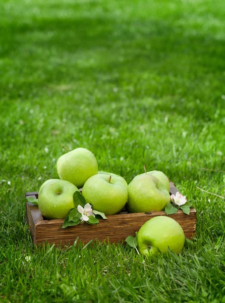 Fresh garden apples in box — Stock Photo, Image