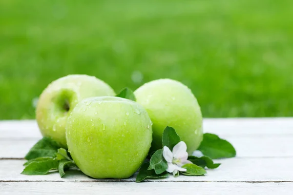 Fresh garden apples — Stock Photo, Image