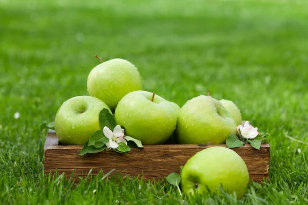 Fresh garden apples in box — Stock Photo, Image