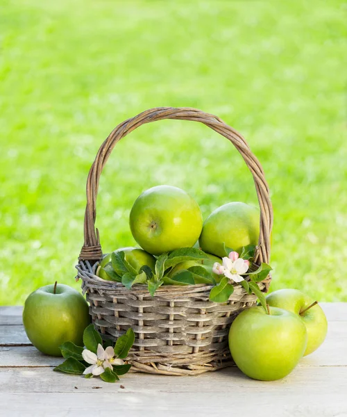 Fresh garden green apples in basket — Stock Photo, Image