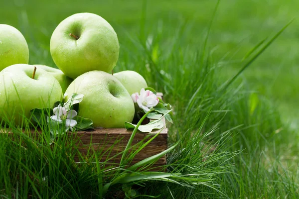 Fresh garden green apples in box — Stock Photo, Image