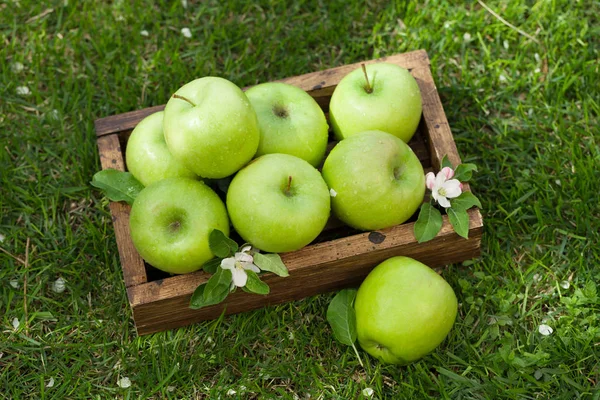 Fresh garden green apples in box — Stock Photo, Image