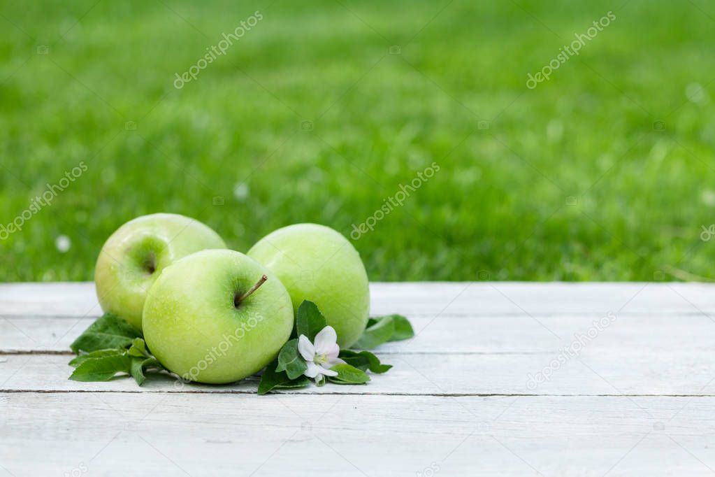 Fresh garden green apples