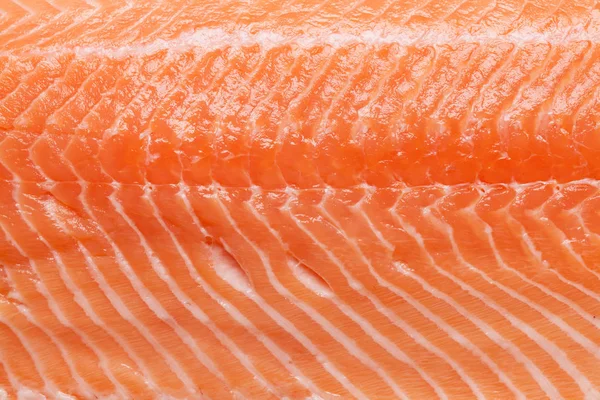 Filé de peixe de salmão cru — Fotografia de Stock