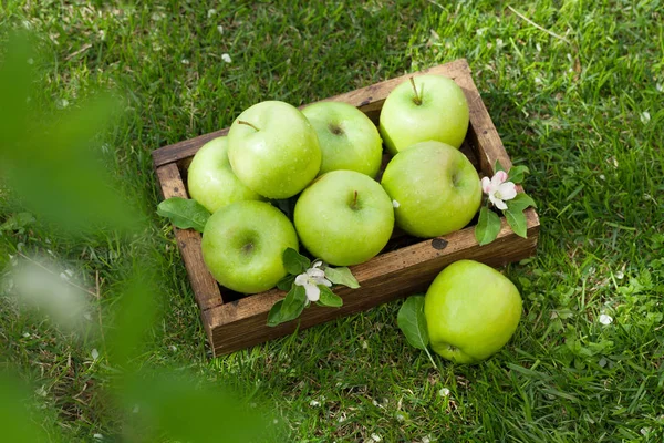 Fresh garden green apples in box — Stock Photo, Image