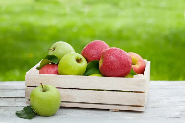 Verse tuin groene en rode appels in doos — Stockfoto