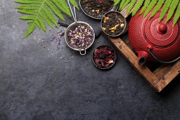 Conjunto de tés secos de hierbas y frutas — Foto de Stock