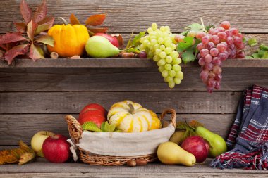 Sonbahar, bal kabakları ve meyvelerle dolu bir hayat.