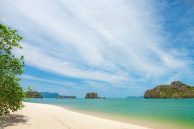 Parlak kum ve derin mavi deniz ile tropikal plaj