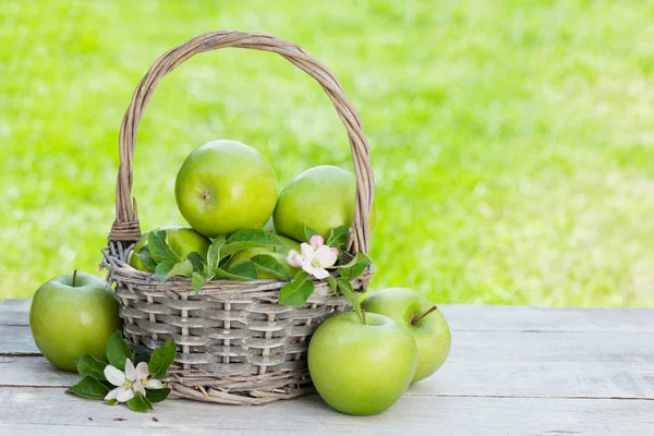 Fresh garden green apples in basket — Stock Photo, Image