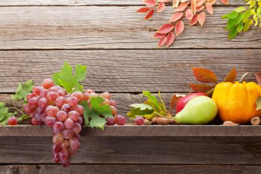 Sonbahar, bal kabakları ve meyvelerle dolu bir hayat.