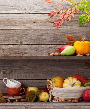 Sonbahar, bal kabakları ve meyvelerle dolu bir hayat.