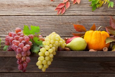 Kabak ve meyve ile Sonbahar