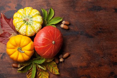 Balkabaklarıyla sonbahar sakin bir hayat