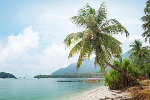 Tropical beach with palms and bright sand — Stock Photo, Image