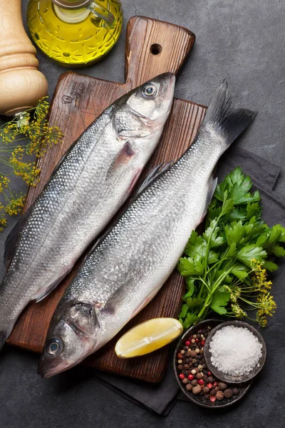 Makanan laut segar. Ikan trout — Stok Foto