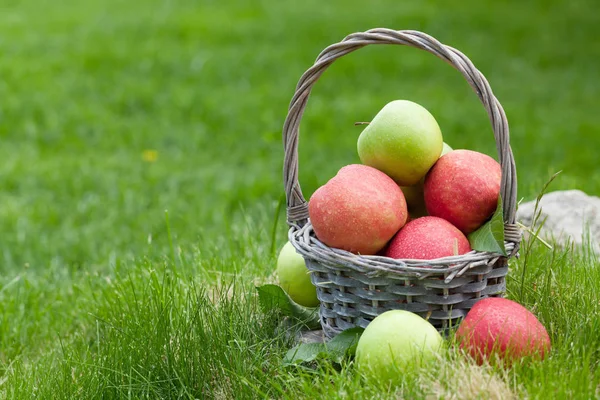 Fresh garden green and red apples in basket — Stock Photo, Image