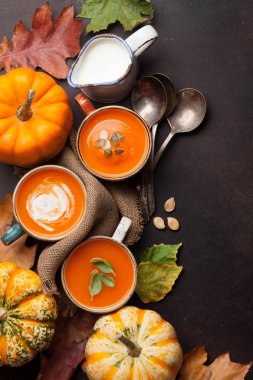 Sonbahar vejetaryen kabak kremaçorbası