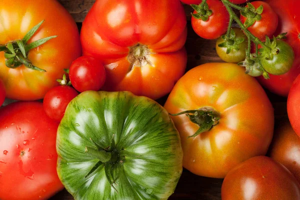 Frische Garten bunte Tomaten — Stockfoto