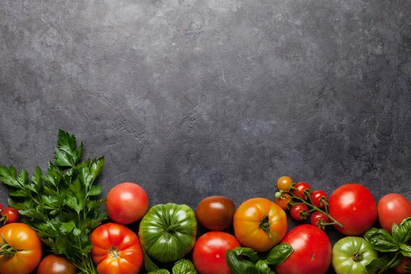 Frisse tuin kleurrijke tomaten — Stockfoto