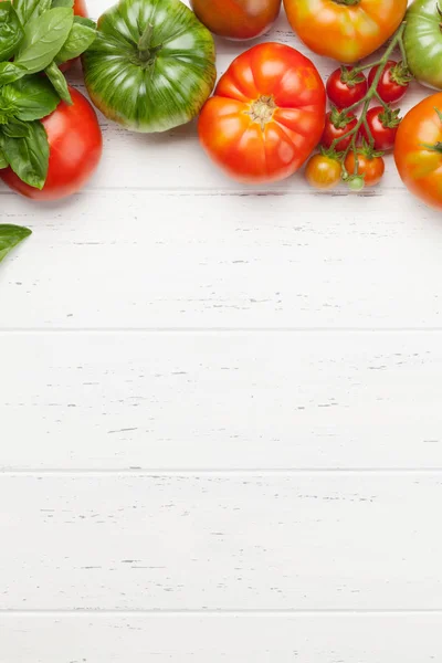 Fresh garden colorful tomatoes — Stock Photo, Image