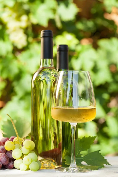 Uvas coloridas y vino blanco —  Fotos de Stock