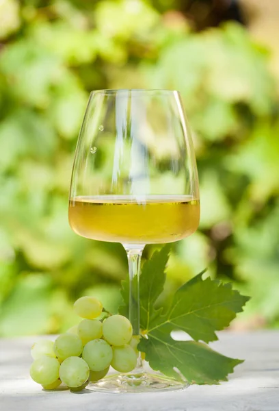 Witte druiven- en wijnproductie glas — Stockfoto