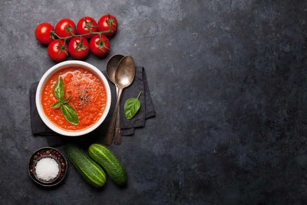 Cold gazpacho soup — Stock Image Cold gazpacho soup Stock Photo