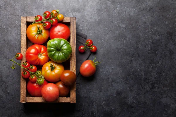 Frisse tuin kleurrijke tomaten — Stockfoto