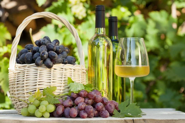 Uvas coloridas e vinho branco — Fotografia de Stock