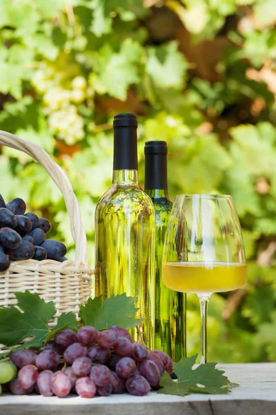 Uvas coloridas y vino blanco —  Fotos de Stock