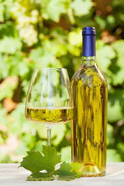 White wine bottle and wineglass — Stock Photo, Image